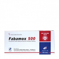 Fabamox 500mg (5 vỉ x 12 viên/hộp) (Vỉ)