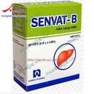 Senvat -B Hộp 40 viên