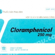 Cloramphenicol 250 Hộp 10 Vỉ x 10 viên