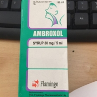 Ambroxol 30mg/5ml India - Lọ 60ml