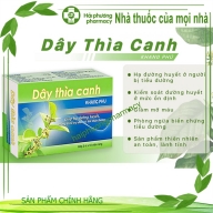 Dây thìa canh Khang Phú