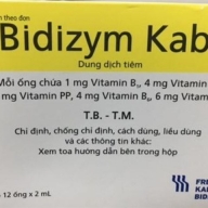 Bidizym kabi H*12 ống