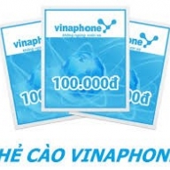 Thẻ vina 100