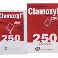 Clamoxyl 250mg - Hộp 12 gói