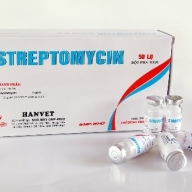Streptomycin 1g H*50
