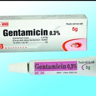 Gentamincin 0.3% mỡ T*5g