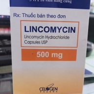 Lincomycin 500mg Hộp 3 vỉ x 10 viên India