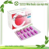 Clindamycin EG 300 mg hộp*10 vỉ*10 viên