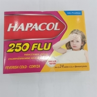 Hapacol 250mg Flu H*24gói Hậu Giang