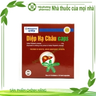 Diệp hạ châu caps HDPHARMA hộp*10 vỉ*10 viên