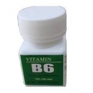 Vitamin b6 - Lọ 100 viên