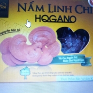 Nấm linh chi HQ 50g