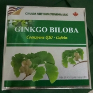 Ginkgo biloba Q10 canada Hộp 100 viên