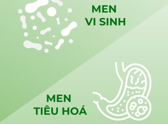 SỬ DỤNG MEN VI SINH VÀ MEN TIÊU HÓA ĐÚNG CÁCH?