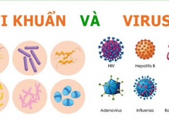 Nhiễm vi khuẩn và nhiễm virus khác nhau thế nào?